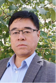 做爱三级片